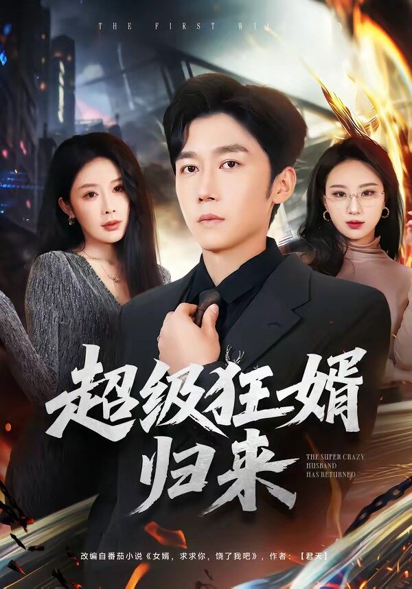 超级狂婿归来(2026)海报