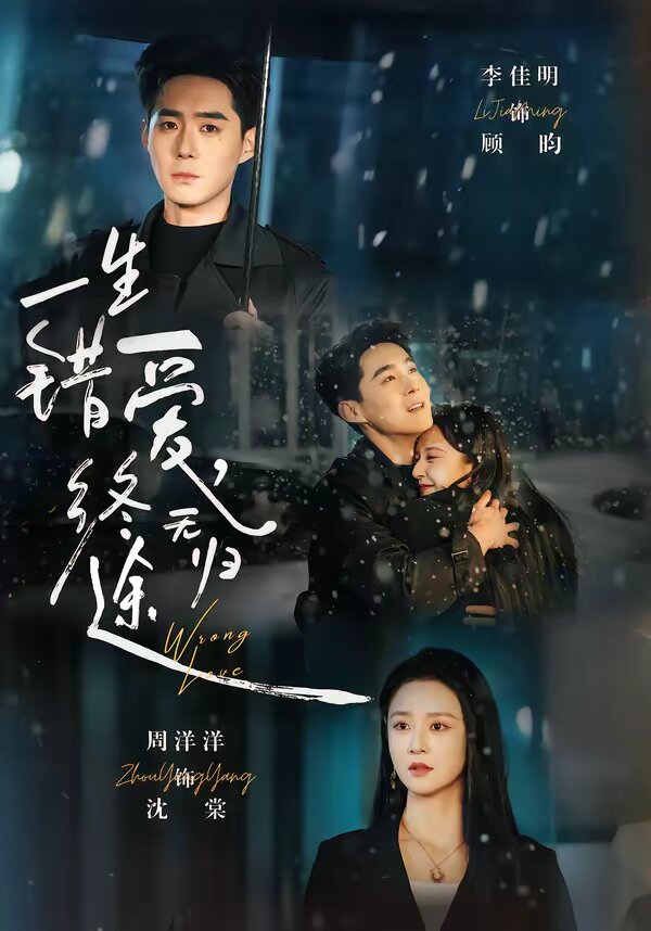 一生错爱,终无归途(2026)海报
