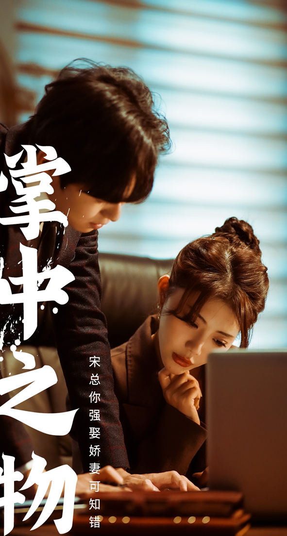 掌中之物:宋總娶嬌妻可知錯(2024)海報