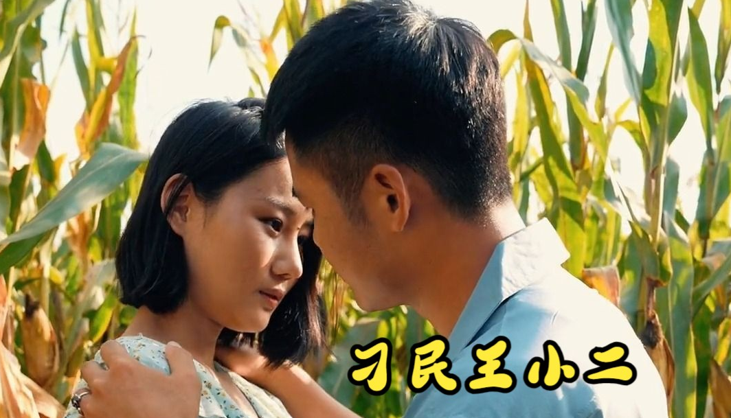 刁民王小二(2023)海報