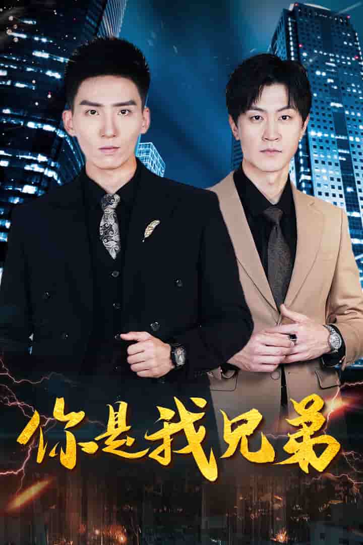 你是我兄弟短剧(2024)海报