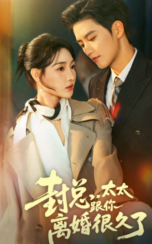 封总,太太跟你离婚很久了(2026)海报