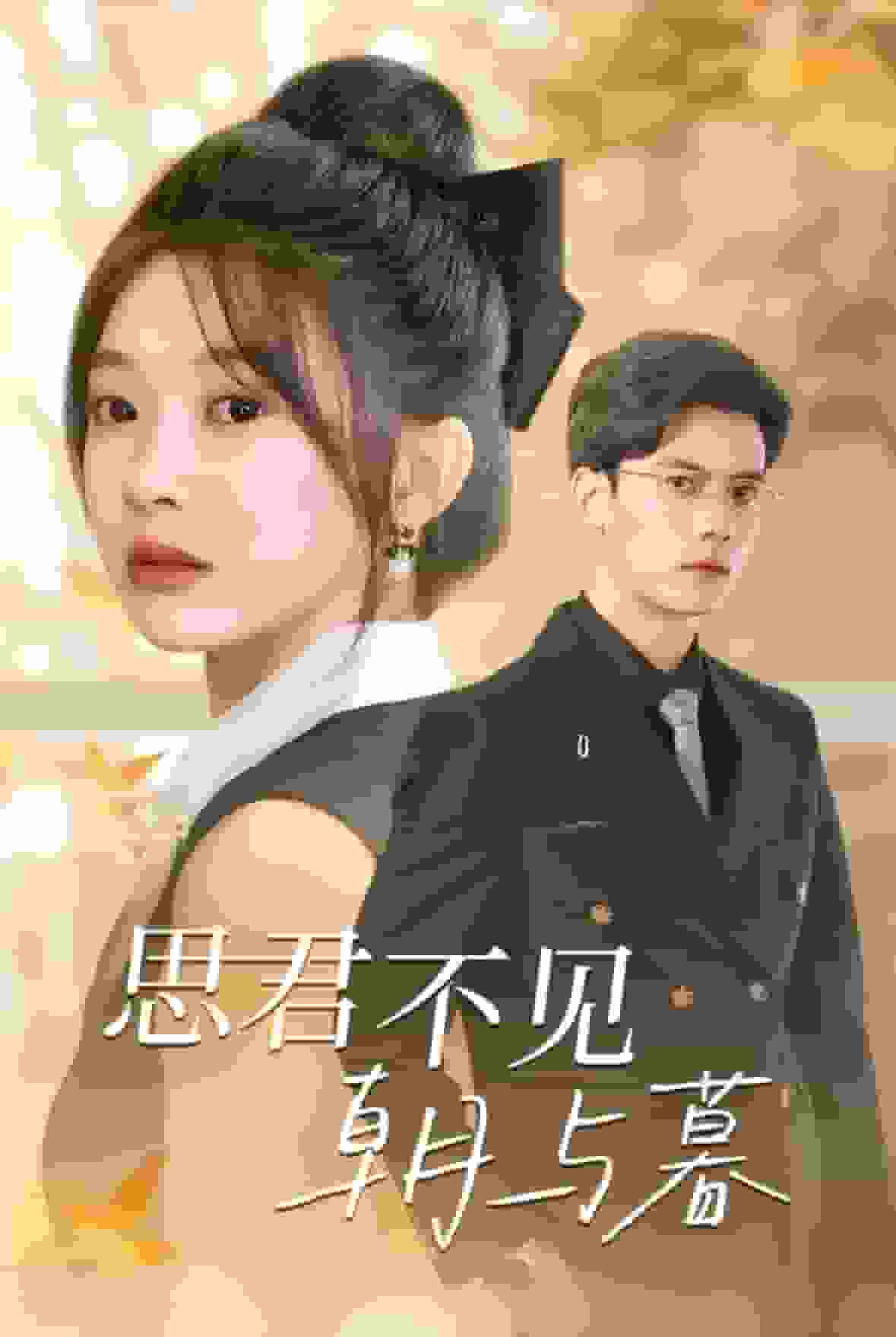 思君不見朝與暮(2024)海報