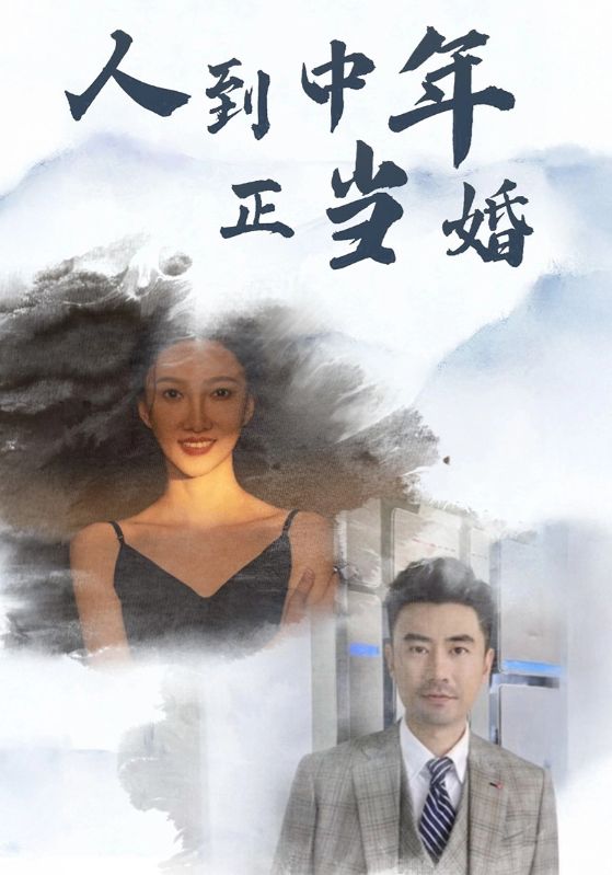 人到中年正当婚(2024)海报