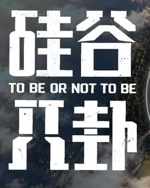硅谷八卦(2026)海报