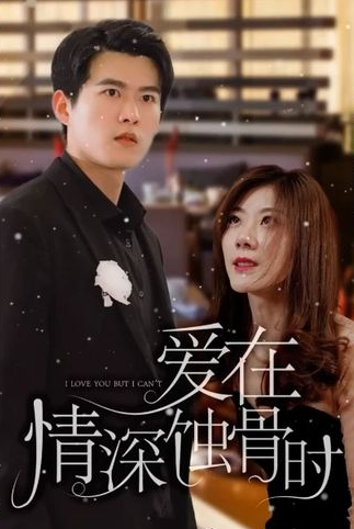 爱在情深蚀骨时(2023)海报