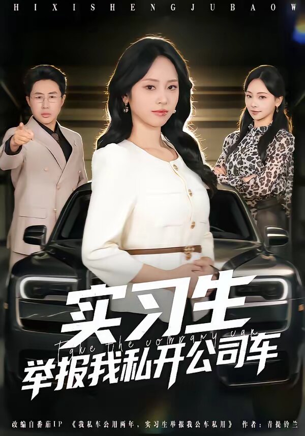 實習生舉報我私開公司車(2026)海報