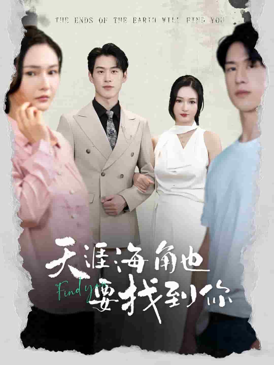 天涯海角也要找到你(2024)海报