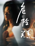 危险关系电影版(2026)海报
