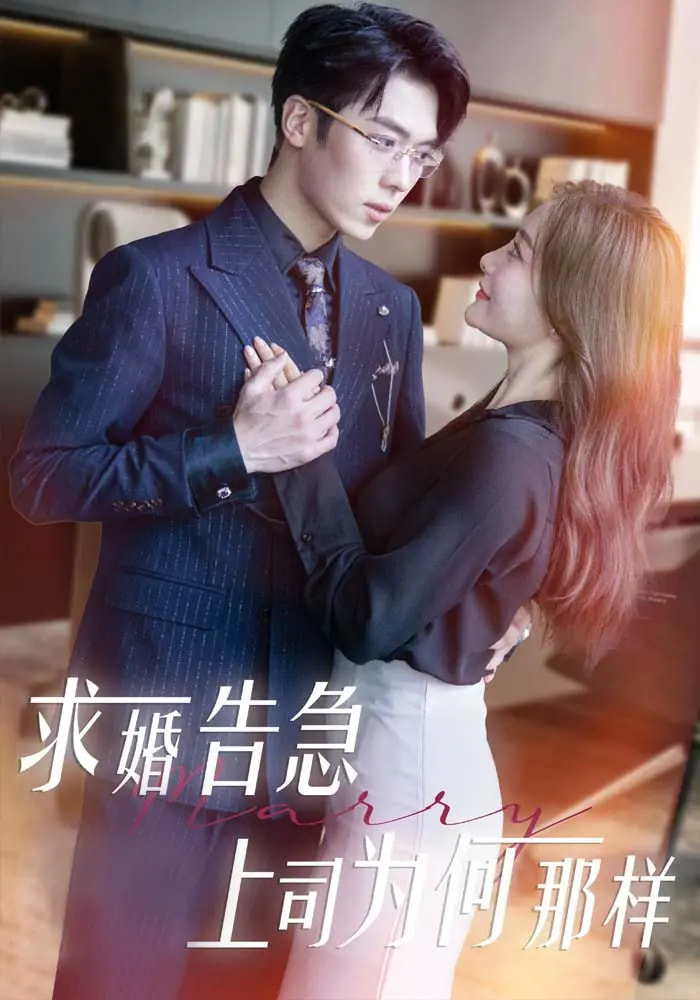 求婚告急上司为何那样(2025)海报