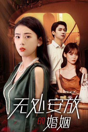 无处安放的婚姻(2024)海报