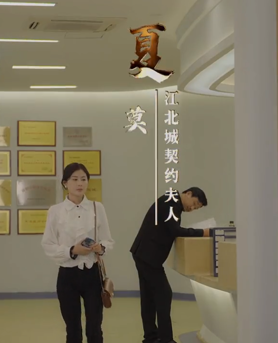 江少的契约夫人(2023)海报