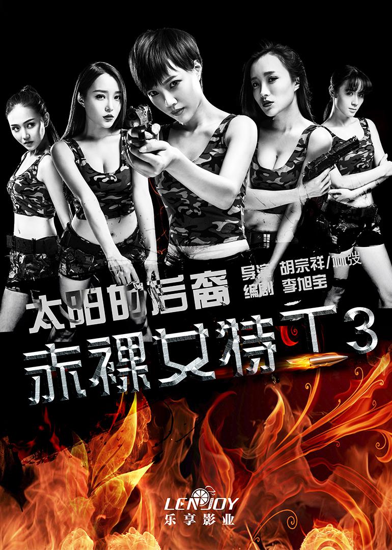 赤裸女特工3太阳的后裔(2016)海报