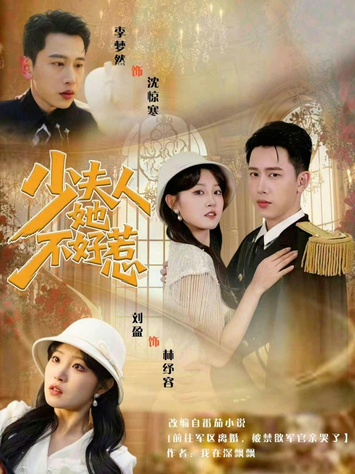 少夫人她不好惹(2026)海报