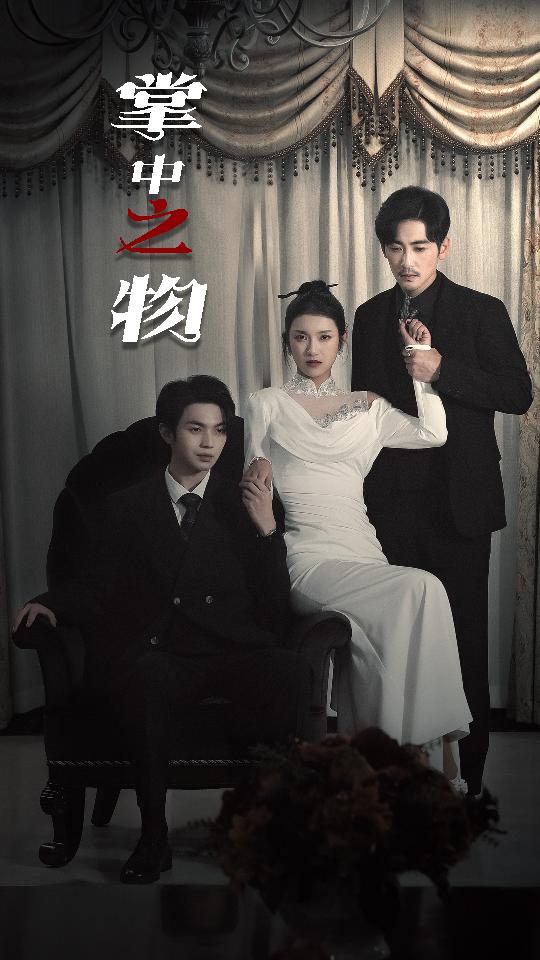 掌中之物(2024)海報