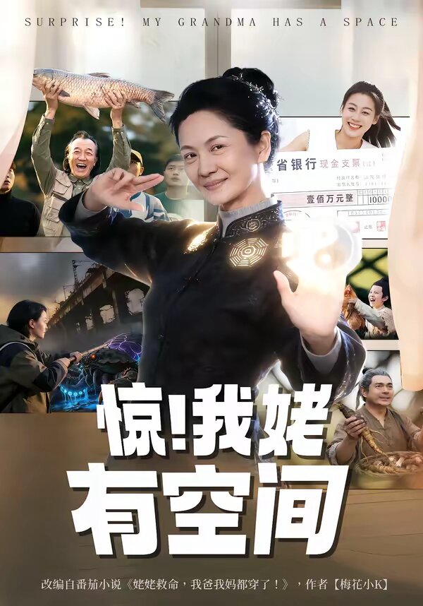 惊!我姥有空间(2026)海报
