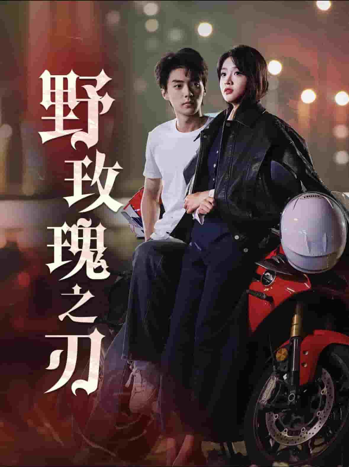 野玫瑰之刃(2025)海报