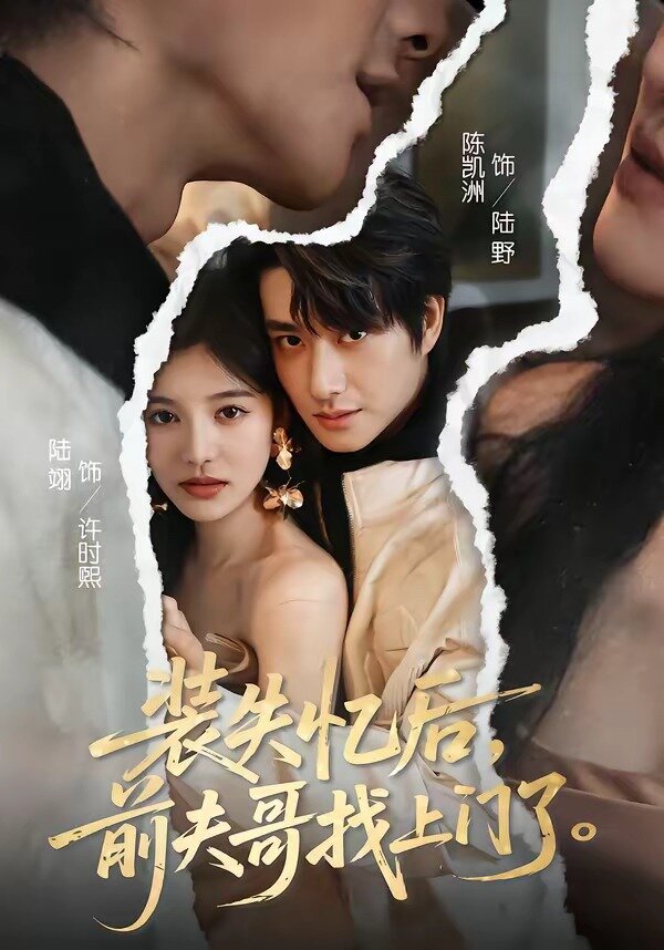 装失忆后,前夫哥找上门了(2026)海报