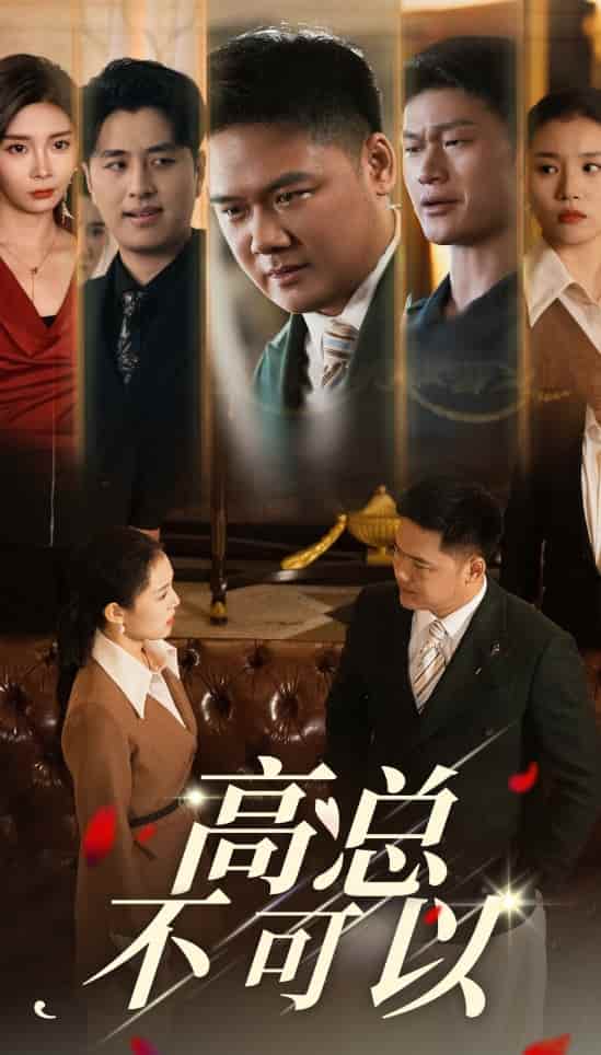 高總不可以(2024)海報