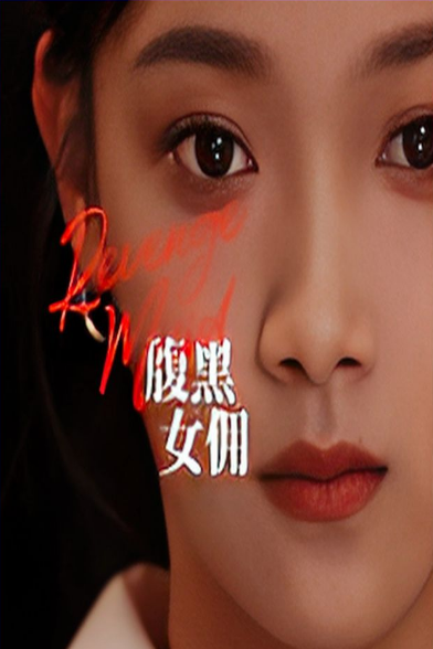 苍天有眼短剧(2023)海报