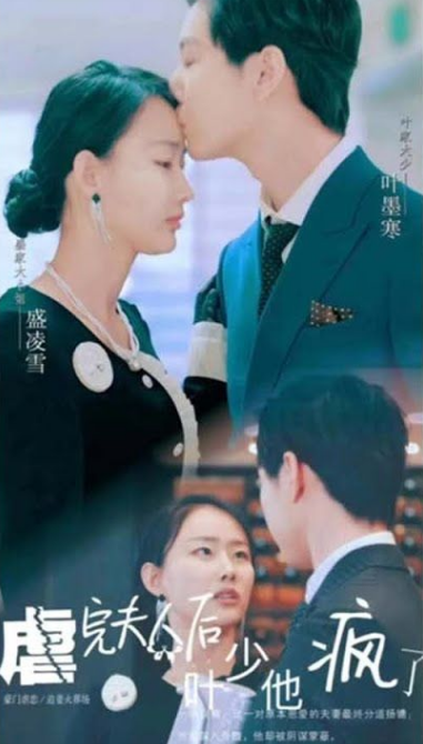 虐完夫人后叶少他疯了(2023)海报