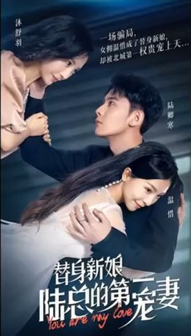 替身新娘:陆总的第一宠妻(2023)海报