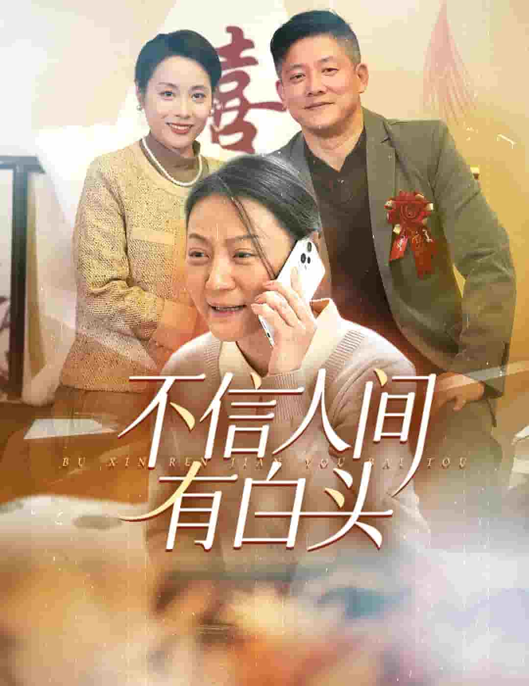 不信人間有白頭(2025)海報