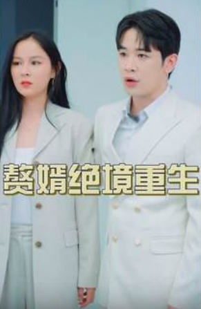 赘婿绝境重生(2023)海报