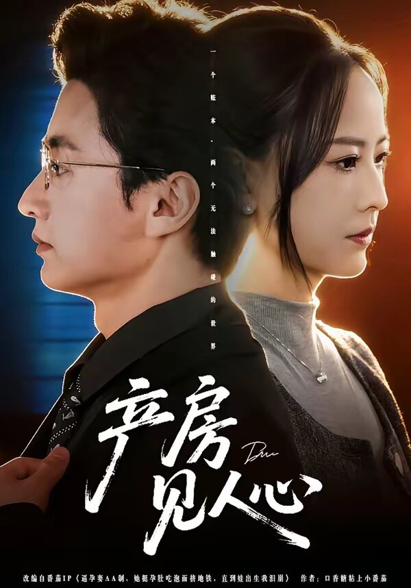 产房见人心(2026)海报