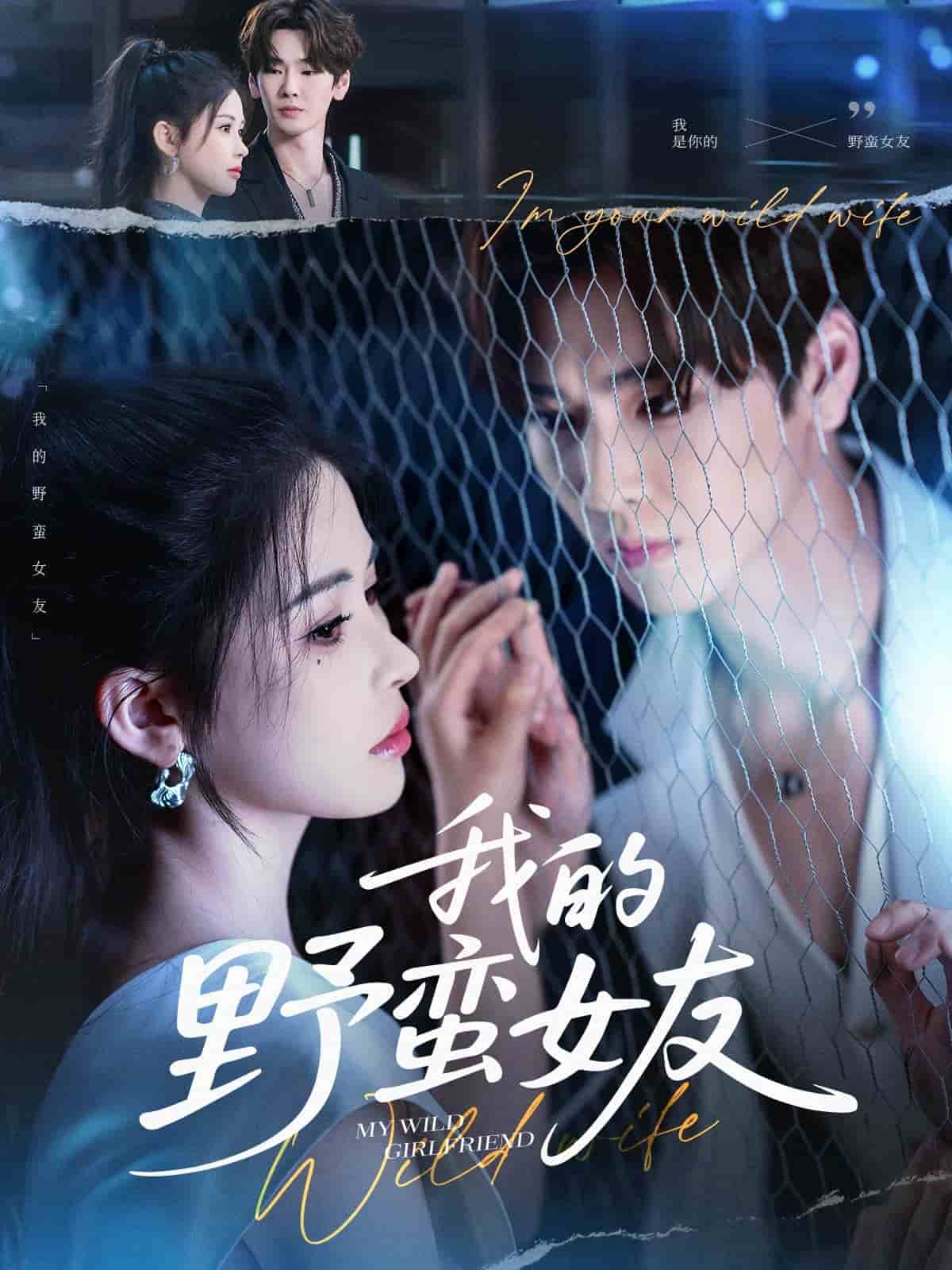 我的野蛮女友(短剧版)(2025)海报