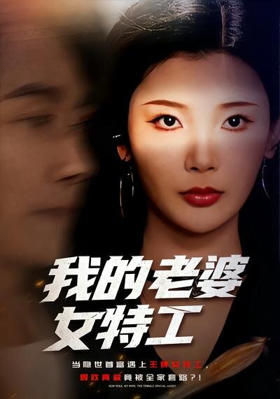 我的老婆女特工(2026)海報