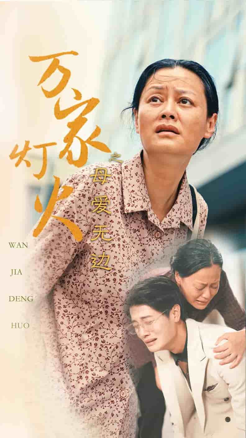 萬家燈火之母愛無邊(2024)海報