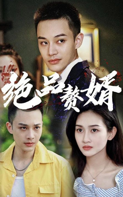 绝品赘婿(2023)海报