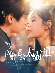 閃婚老公太霸道(2025)海報