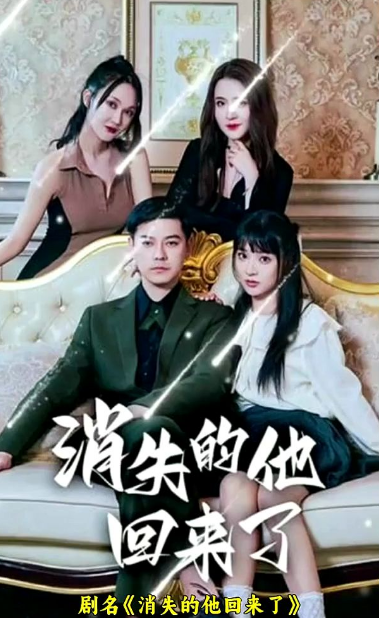 消失的他回来了(2023)海报