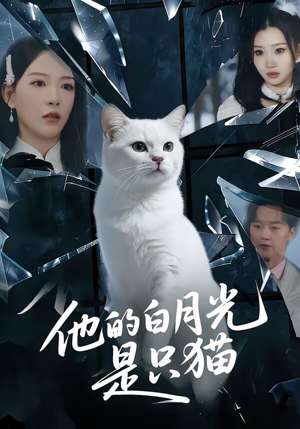 他的白月光是只猫(2026)海报